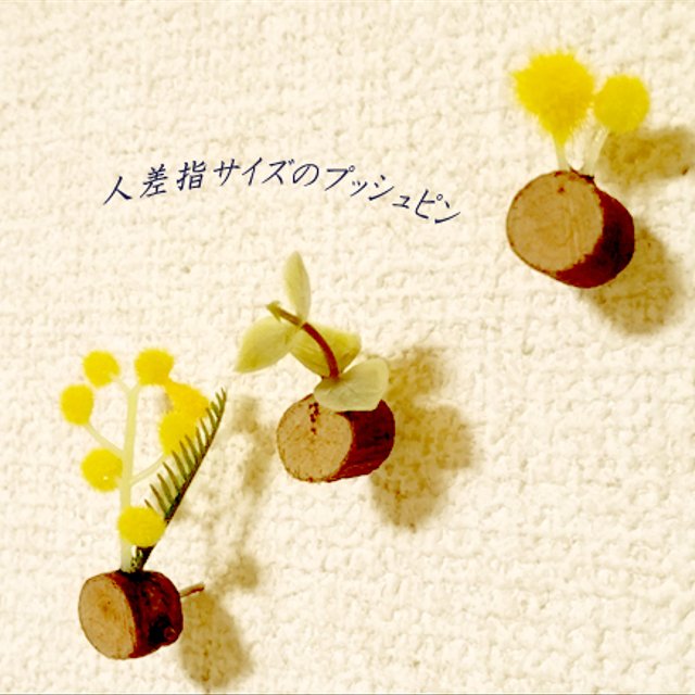 黄色がかわいい春の植物プッシュピン 木の枝から育った小さなプラント 画鋲のインテリア雑貨 イエロー グリーン Minne 日本最大級のハンドメイド 手作り通販サイト