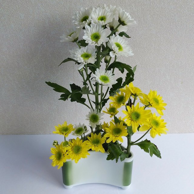 花を輪に挿す最先端の輪花瓶 広口であるが剣山やスポンジは使わなくても花が直立する輪花瓶 1個で一輪挿しなど多様な生け花ができる輪花瓶 見る角度で違う表情を見せる三角形の波佐見焼の磁器の花瓶 ハンドメイドマーケット Minne 花を輪に挿す最先端の輪花瓶 広口であるが剣山やスポンジは使わなくても花が直立する輪花瓶 1個で一輪挿しなど多様な生け花ができる輪花瓶 見る角度で違う表情を見せる三角形の波佐見焼の磁器の花瓶 ハンドメイドマーケット Minne