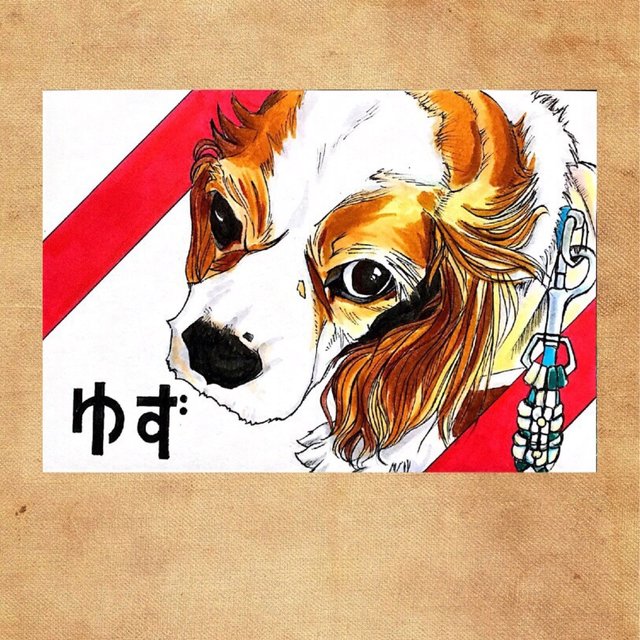 キャバリア 創作イラストタイプ ハンドメイドマーケット Minne キャバリア 創作イラストタイプ ハンドメイドマーケット Minne