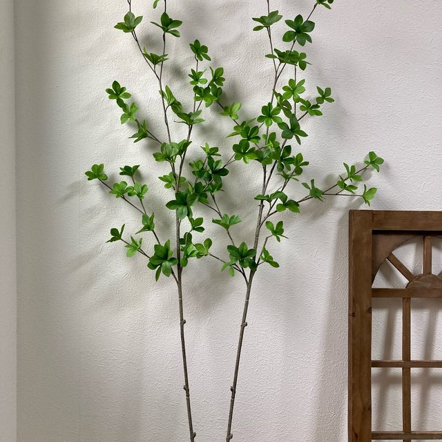 ドウダンツツジ 葉っぱたっぷりモデル2 フェイクグリーン 2本 110cm 枝 Minne 日本最大級のハンドメイド 手作り通販サイト ドウダンツツジ 葉っぱたっぷりモデル2 フェイクグリーン 2本 110cm 枝 Minne 日本最大級のハンドメイド 手作り通販サイト