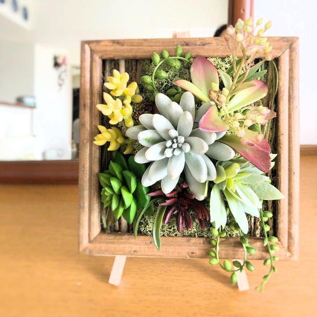多肉植物フレームアレンジ 多肉植物アレンジ 寄せ植えアレンジ 観葉植物 ウォールデコレーション フェイクグリーン アーティフィシャル インテリアグリーン インテリア ハンドメイドマーケット Minne 多肉植物フレームアレンジ 多肉植物アレンジ 寄せ植えアレンジ 観葉植物 ウォールデコレーション フェイクグリーン アーティフィシャル インテリアグリーン インテリア ハンドメイドマーケット Minne