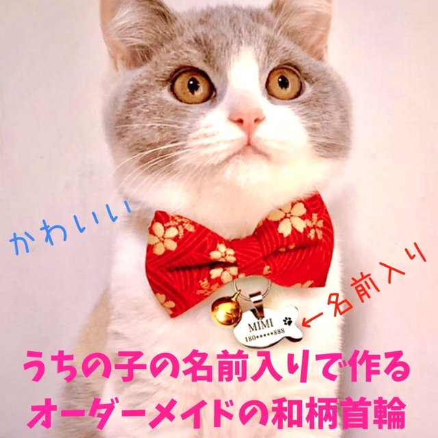 激安セール】 和風リボン、わんちゃん猫ちゃん用首輪 - 猫用品 - www.fonsti.org