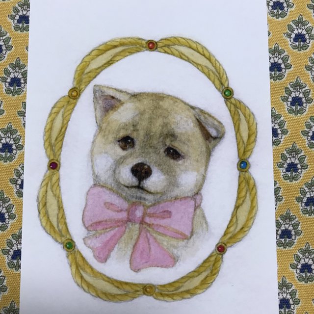 柴犬の子犬のイラストカード Minne 日本最大級のハンドメイド 手作り通販サイト