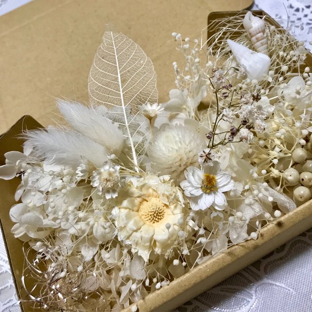 夏のwhiteコンパクタ貝がら ハーバリウム 花材ドライフラワー 花材セット Minne 日本最大級のハンドメイド 手作り通販サイト