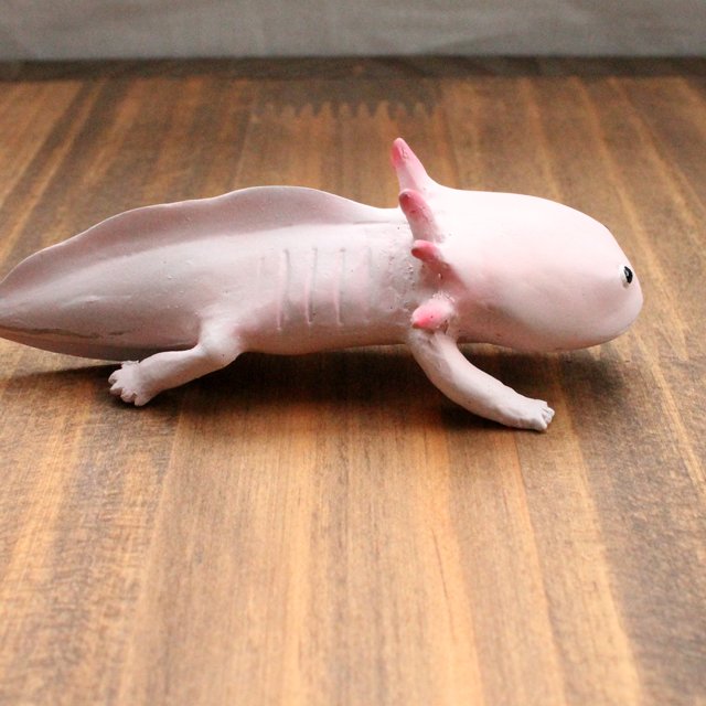 ウーパールーパー ハンドメイドマーケット Minne ウーパールーパー ハンドメイドマーケット Minne