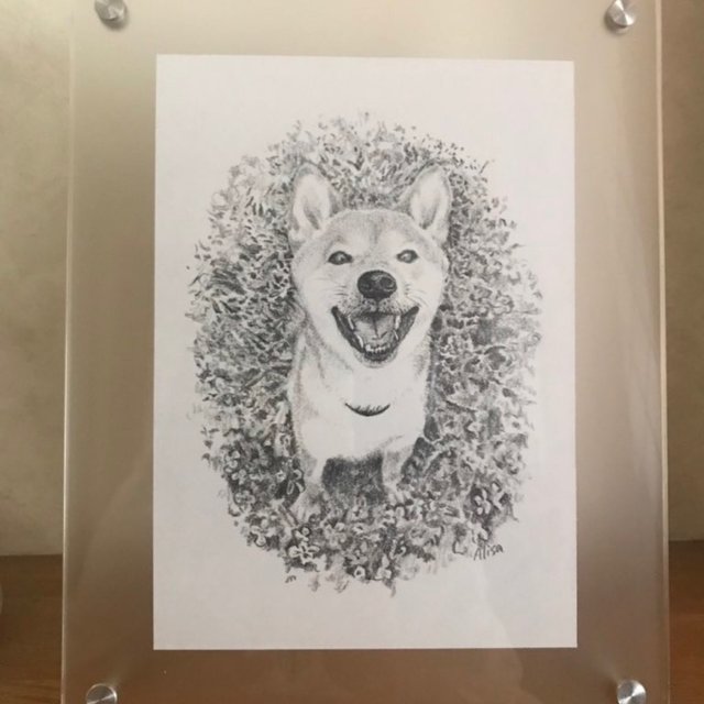受注製作 鉛筆画 動物 ハンドメイドマーケット Minne 受注製作 鉛筆画 動物 ハンドメイドマーケット Minne