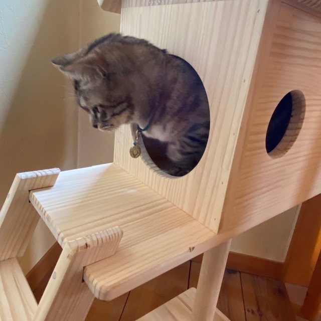 猫ハウス キャットタワー Minne 日本最大級のハンドメイド 手作り通販サイト 猫ハウス キャットタワー Minne 日本最大級のハンドメイド 手作り通販サイト