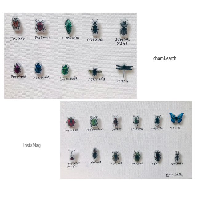 選べる昆虫ピンバッチ 試験管封入 3個セット Minne 日本最大級のハンドメイド 手作り通販サイト 選べる昆虫ピンバッチ 試験管封入 3個セット Minne 日本最大級のハンドメイド 手作り通販サイト
