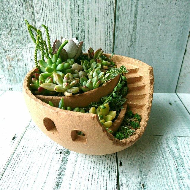 小さなお庭植木鉢 小 多肉植物寄せ植え 陶器鉢 ガーデンピック ガーデン雑貨 Minne 日本最大級のハンドメイド 手作り通販サイト 小さなお庭植木鉢 小 多肉植物寄せ植え 陶器鉢 ガーデンピック ガーデン雑貨 Minne 日本最大級のハンドメイド 手作り通販サイト