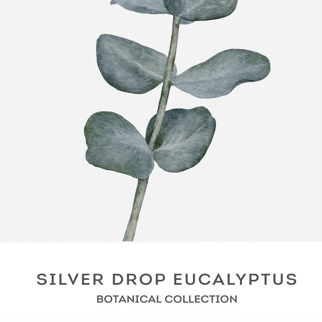 238 アートポスター Eucalyptus Botanical Water Color Art Print ユーカリ ボタニカルアート 北欧 海外インテリア ナチュラル ハンドメイドマーケット Minne