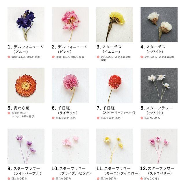 花言葉で選べる 壁掛け植物標本 10種類 Minne 日本最大級のハンドメイド 手作り通販サイト