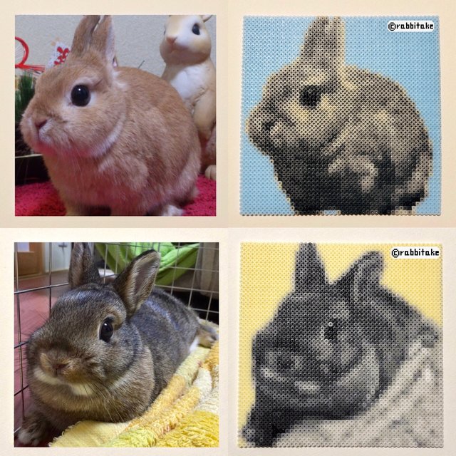 うさぎのオーダー似顔絵 アイロンビーズ画 鉛筆画風 ネザーランドドワーフ ホーランドロップなど ハンドメイドマーケット Minne うさぎのオーダー似顔絵 アイロンビーズ画 鉛筆画風 ネザーランドドワーフ ホーランドロップなど ハンドメイドマーケット Minne