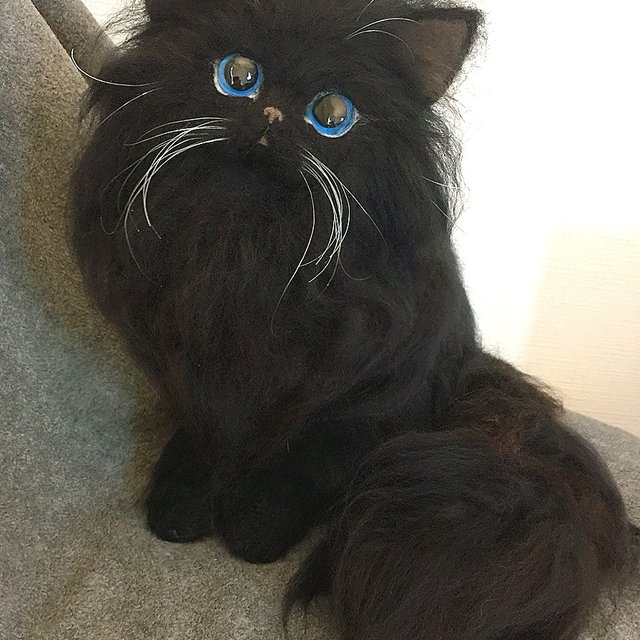 ブルーアイのブラックペルシャ猫ちゃん ハンドメイドマーケット Minne ブルーアイのブラックペルシャ猫ちゃん ハンドメイドマーケット Minne