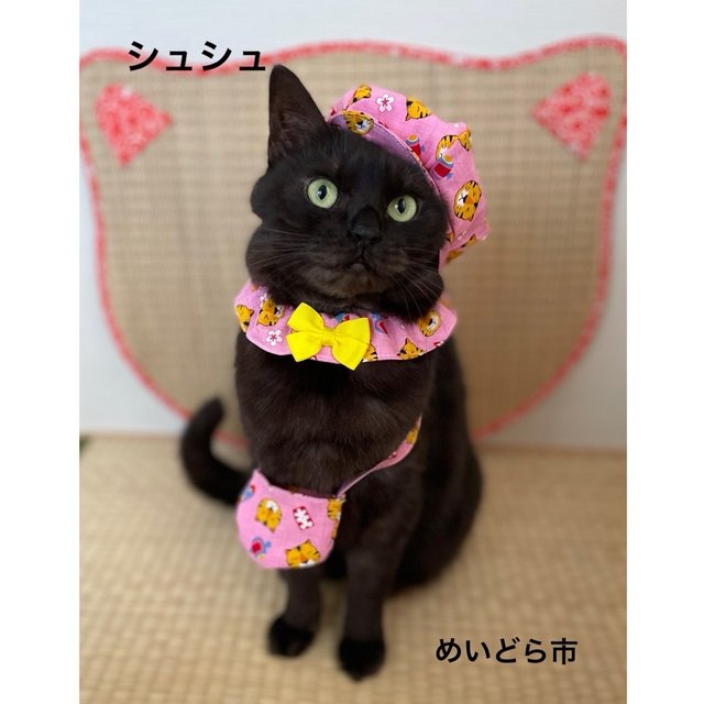 お正月用シュシュ 猫ちゃんの首輪 Minne 日本最大級のハンドメイド 手作り通販サイト お正月用シュシュ 猫ちゃんの首輪 Minne 日本最大級のハンドメイド 手作り通販サイト