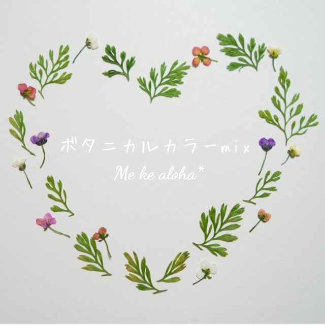 No 13 ボタニカルカラーmix アリッサム シダ 花材 素材 押し花 ハンドメイドマーケット Minne No 13 ボタニカルカラーmix アリッサム シダ 花材 素材 押し花 ハンドメイドマーケット Minne