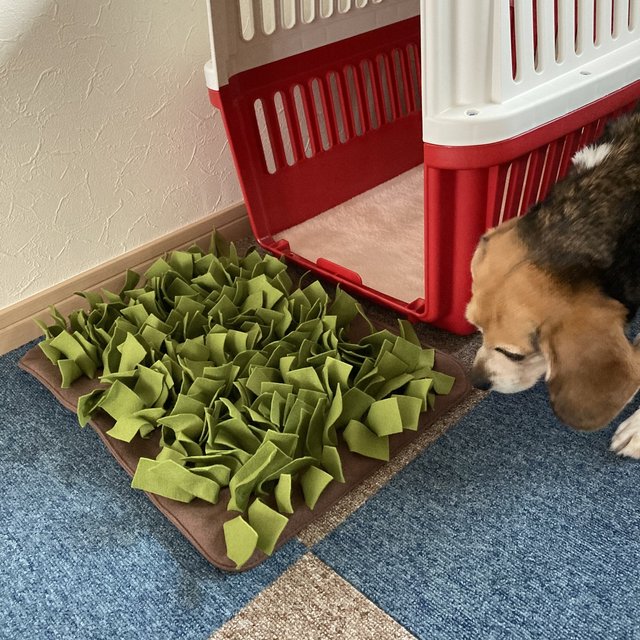 犬のおもちゃ ワンコのスナッフルマット ノーズワークマット ペット用マット 知育玩具 ハンドメイドマーケット Minne 犬のおもちゃ ワンコのスナッフルマット ノーズワークマット ペット用マット 知育玩具 ハンドメイドマーケット Minne