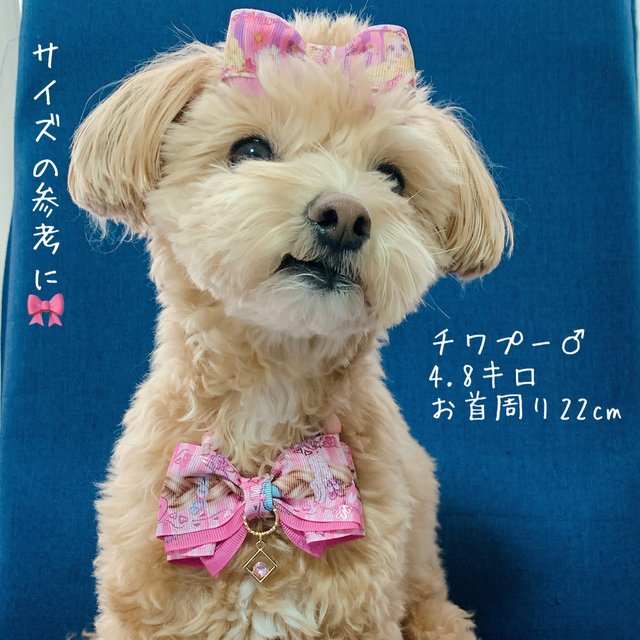 097 チョーカー 犬猫用調整可能チョーカーリボン オリジナルデザイン 蝶ネクタイ 薔薇柄 Minne 日本最大級のハンドメイド 手作り通販サイト 097 チョーカー 犬猫用調整可能チョーカーリボン オリジナルデザイン 蝶ネクタイ 薔薇柄 Minne 日本最大級のハンドメイド 手作り通販サイト
