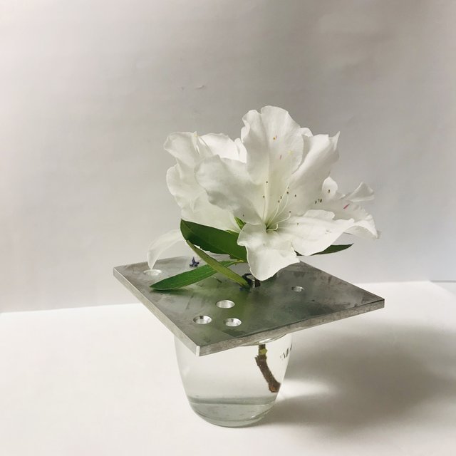 家にある物がおしゃれな花瓶に変身します 花挿しプレート 小 ハンドメイドマーケット Minne 家にある物がおしゃれな花瓶に変身します 花挿しプレート 小 ハンドメイドマーケット Minne