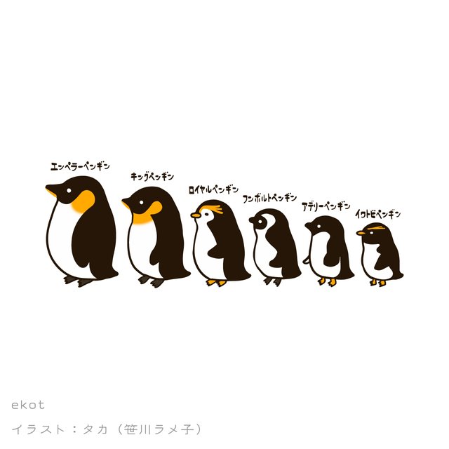 ペンギンいろいろ ホワイト Ekot パーカー 10オンス Minne 日本最大級のハンドメイド 手作り通販サイト