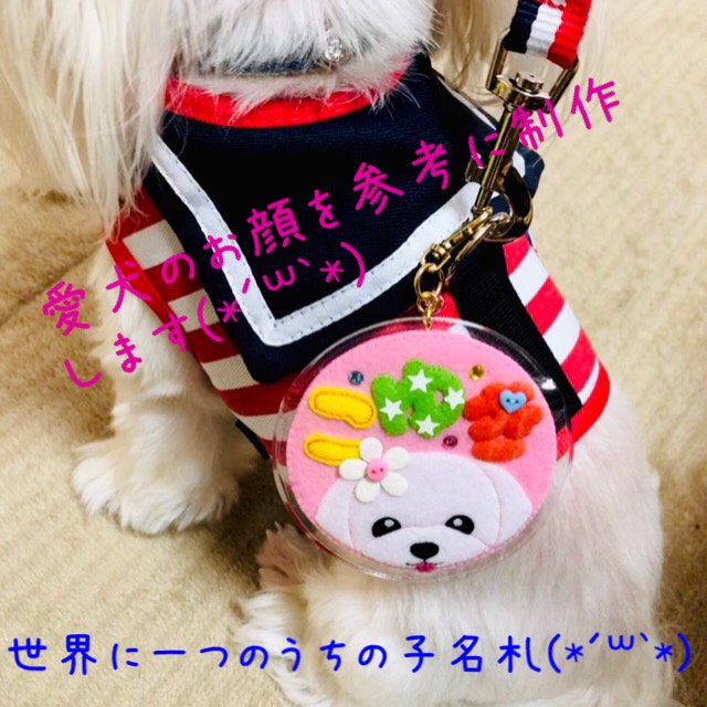 Bunbunmie様 専用ページ 迷子札 フェルト 名札 ハンドメイドマーケット Minne