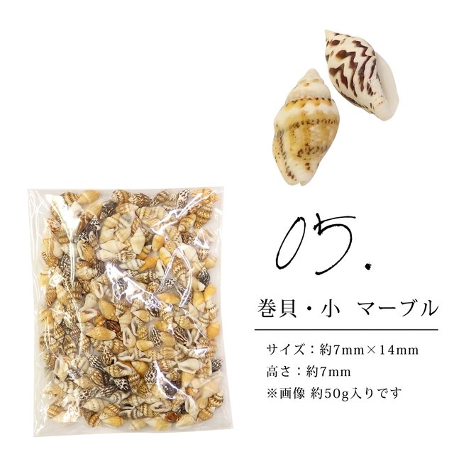 05 巻貝 小 マーブル 約50g 夏に可愛い 貝殻 シェル ハンドメイドやディスプレイに レジン アクセサリー 巻貝 二枚貝 Minne 日本最大級のハンドメイド 手作り通販サイト 05 巻貝 小 マーブル 約50g 夏に可愛い 貝殻 シェル ハンドメイドやディスプレイに レジン アクセサリー 巻貝 二枚貝 Minne 日本最大級のハンドメイド 手作り通販サイト