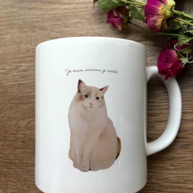 大人可愛いふわふわ猫 ラグドール マグカップ Je Suis Comme Je Suis ハンドメイドマーケット Minne 大人可愛いふわふわ猫 ラグドール マグカップ Je Suis Comme Je Suis ハンドメイドマーケット Minne