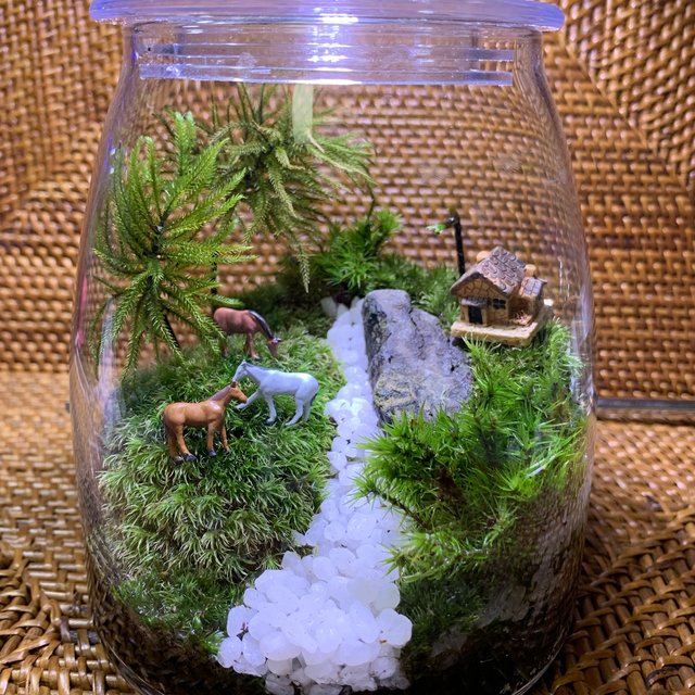 苔リウム コケリウム 苔テラリウム 苔アート 苔 苔盆栽 観葉植物 Minne 日本最大級のハンドメイド 手作り通販サイト 苔リウム コケリウム 苔テラリウム 苔アート 苔 苔盆栽 観葉植物 Minne 日本最大級のハンドメイド 手作り通販サイト