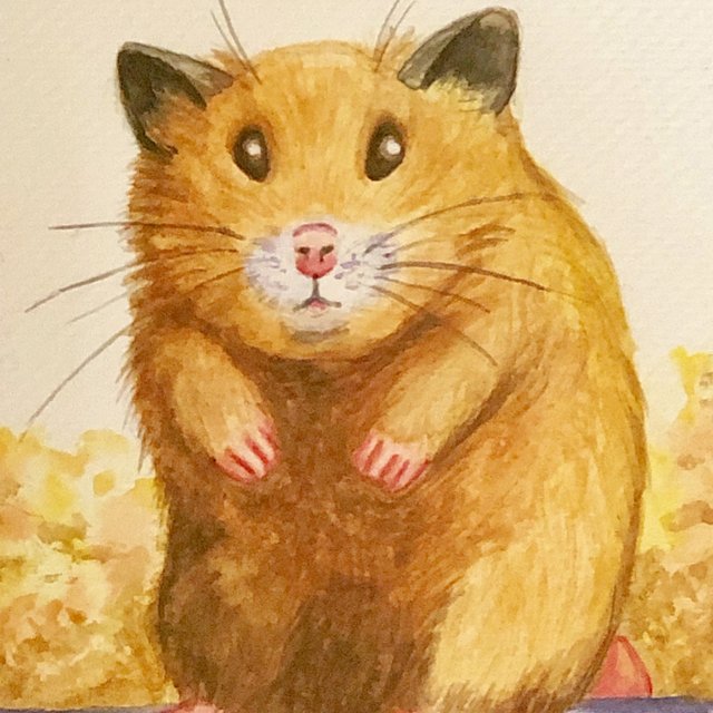 可愛いイラスト 小動物 秋のお祭り ハンドメイドマーケット Minne 可愛いイラスト 小動物 秋のお祭り ハンドメイドマーケット Minne