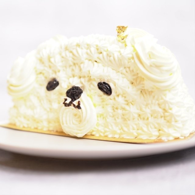 韓国で話題沸騰中 可愛いわんちゃん ハーフケーキをお届け Minne 日本最大級のハンドメイド 手作り通販サイト