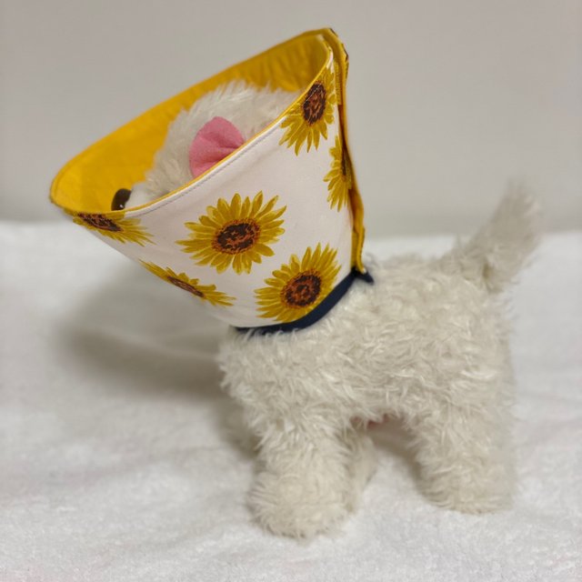 夏季限定🌻 犬猫用エリザベスカラー