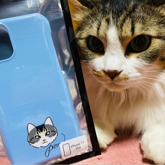 うちの子 ふんわりイラスト スマホケース かおだけ 似顔絵 Iphone Android Minne 日本最大級のハンドメイド 手作り通販サイト