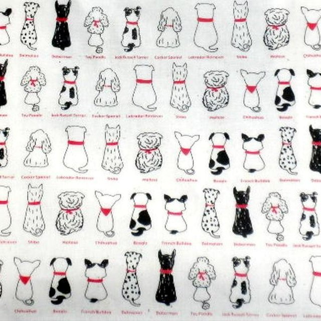 サブバッグトート ファスナー付き 犬の後ろ姿 イラスト 生成り Minne 日本最大級のハンドメイド 手作り通販サイト