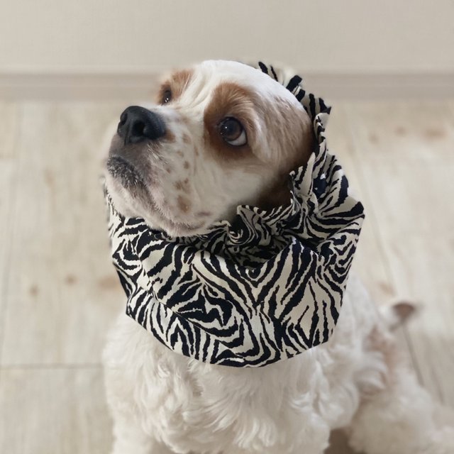 虎柄 ホワイト 犬用スヌード 中型犬用スヌード Minne 日本最大級のハンドメイド 手作り通販サイト 虎柄 ホワイト 犬用スヌード 中型犬用スヌード Minne 日本最大級のハンドメイド 手作り通販サイト