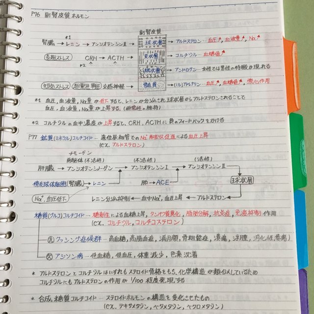 聴覚 試験 国家 言語 士 【第23回言語聴覚士国家試験不合格】落ちた…その後の就活法