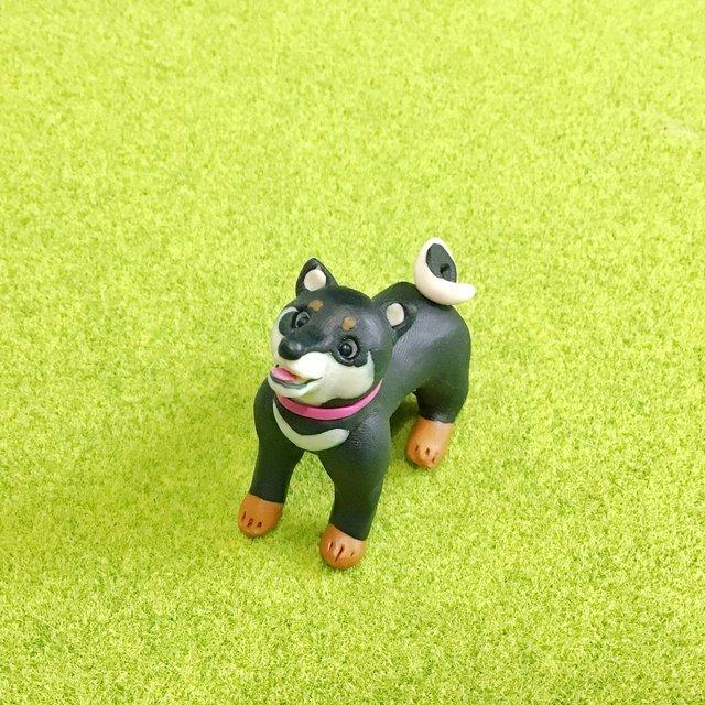 犬 元気一杯黒柴犬 ミニチュア粘土細工 ハンドメイドマーケット Minne 犬 元気一杯黒柴犬 ミニチュア粘土細工 ハンドメイドマーケット Minne