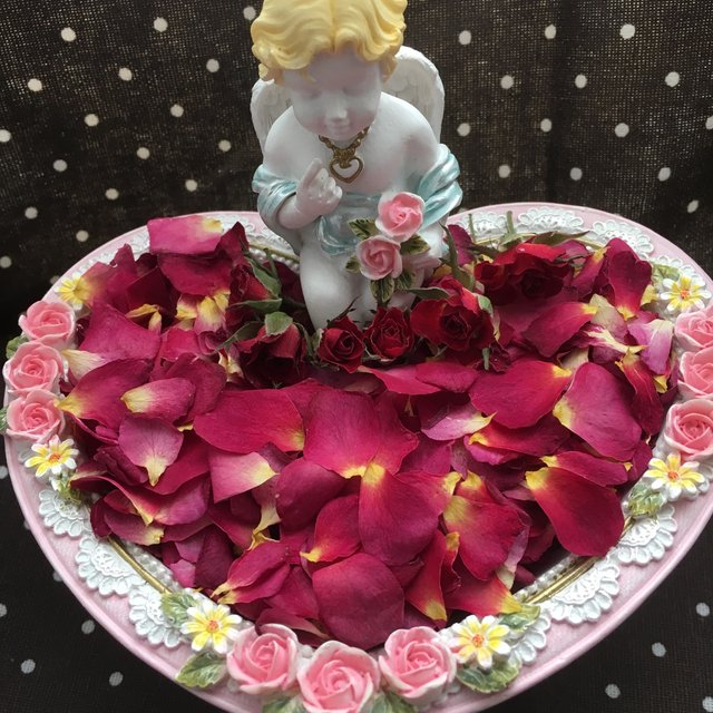 超ミニミニ 極小ミニバラ15輪 薔薇色ふわふわ花びら1gセット ドライフラワー花材 ハンドメイドマーケット Minne 超ミニミニ 極小ミニバラ15輪 薔薇色ふわふわ花びら1gセット ドライフラワー花材 ハンドメイドマーケット Minne