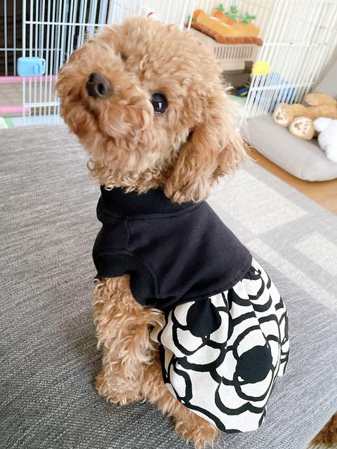 犬服 大人かわいい♪ モノトーン花柄のバルーンワンピース - 犬服ino's handmade LAB | minne 国内最大級のハンドメイド ・手作り通販サイト